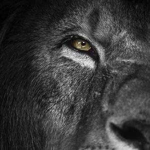 Meet your Posher, Eddie